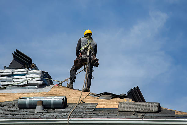 Professional Roof Replacement technician working in Holmes, PA